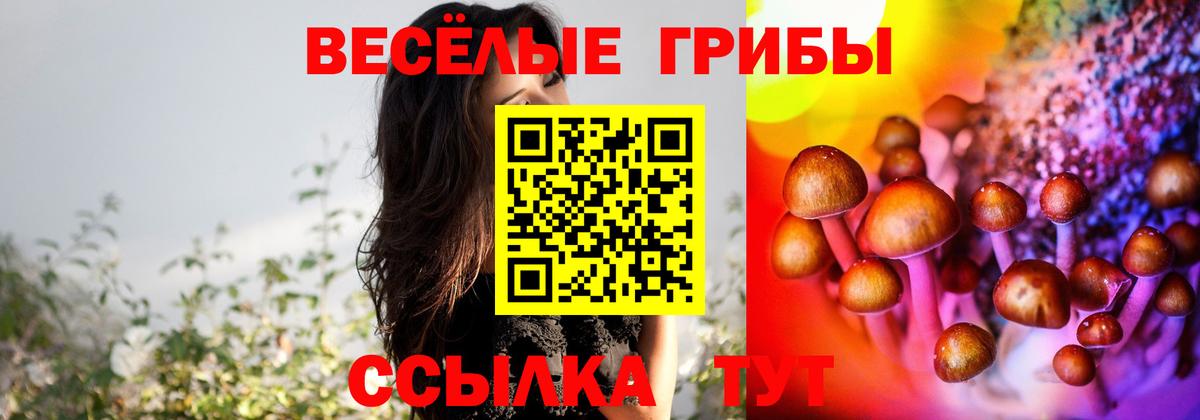 Еманжелинск  Галлюциногенные грибы прущие грибы  Вход с VPN  Псилоцибиновые грибы Psilocybe 